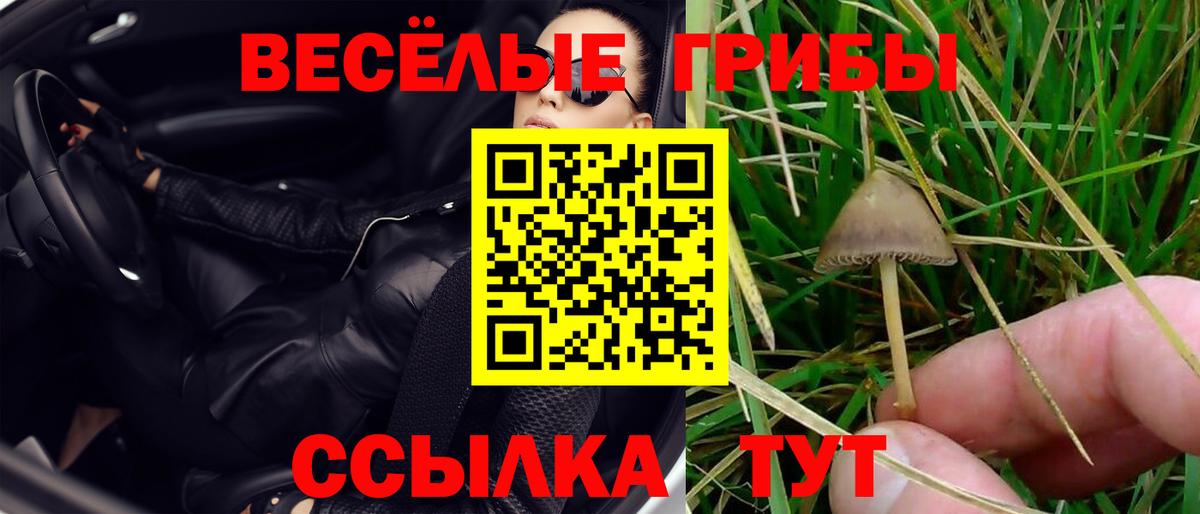 Сухой Лог  Галлюциногенные грибы MAGIC MUSHROOMS  Вход с VPN 